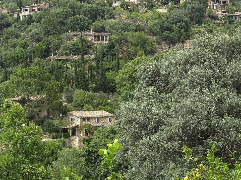 Private airport transfer to Sóller with Gamobus